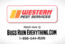 Bugs Ruin Everything - Sleep